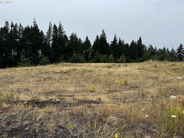 0.06 Acres of Residential Land for Sale in Cascade Locks, Oregon