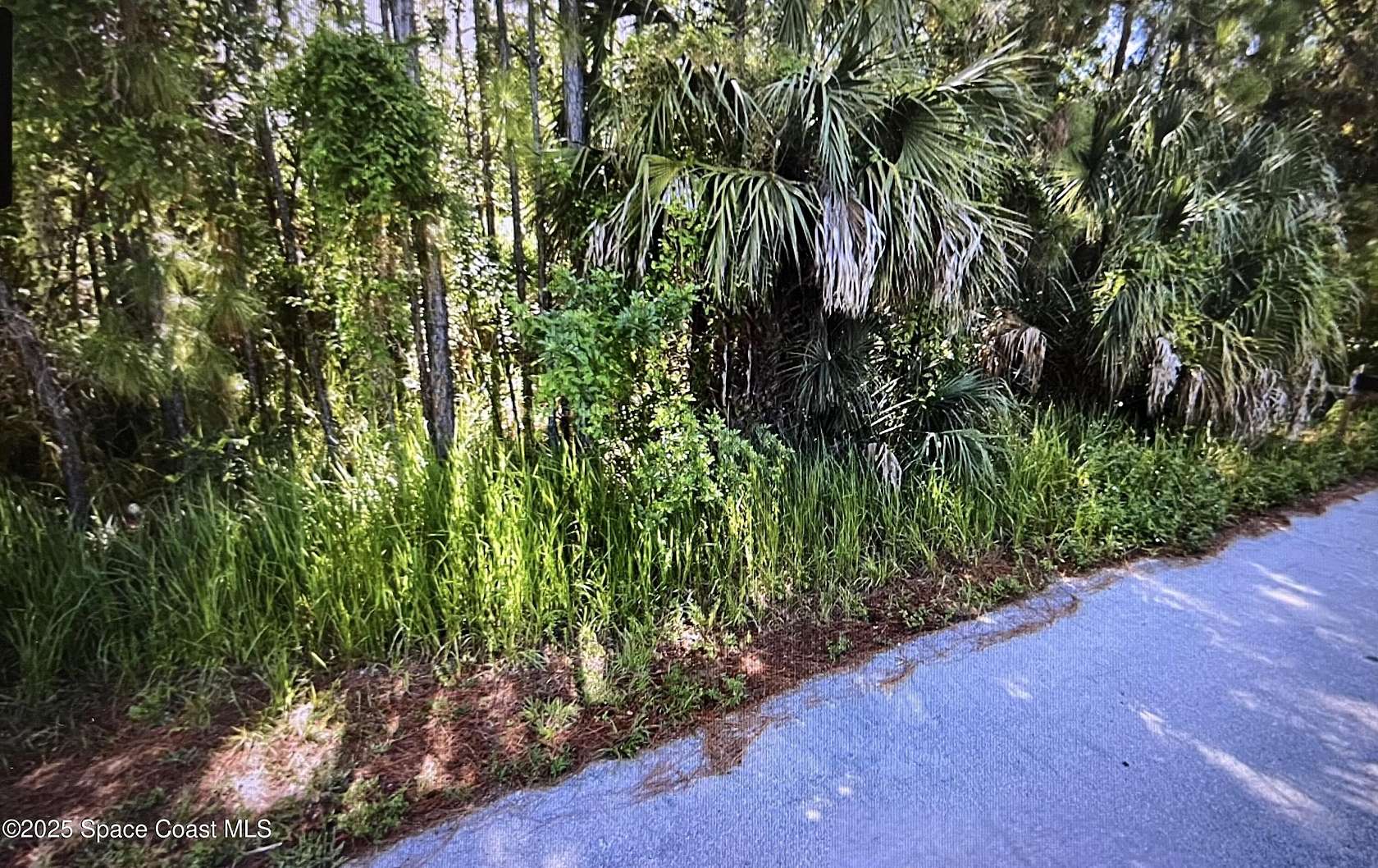 0.23 Acres of Residential Land for Sale in Palm Bay, Florida