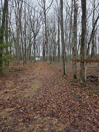 10.4 Acres of Land for Sale in White Cloud, Michigan