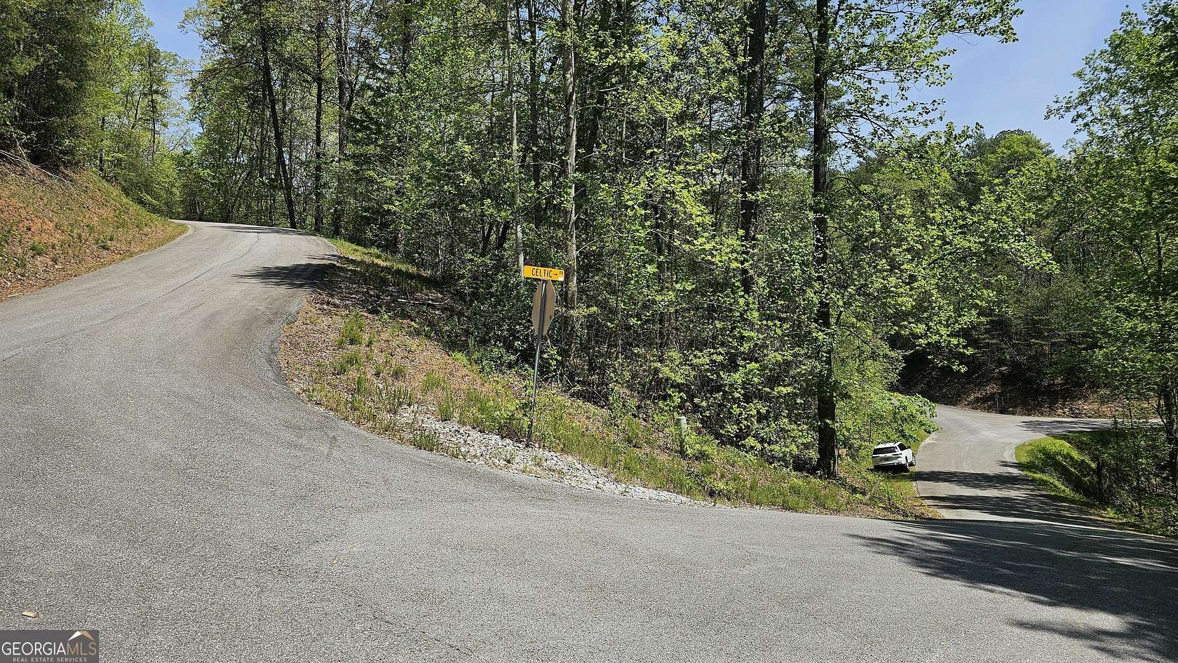 4 Acres of Residential Land for Sale in Clayton, Georgia