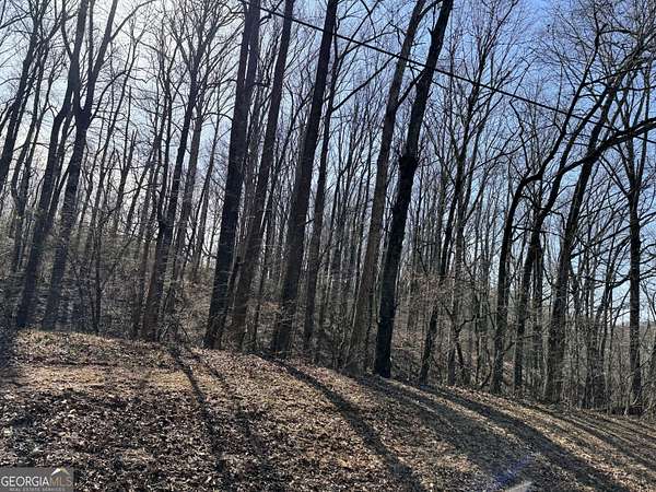 10 Acres of Residential Land for Sale in Winder, Georgia