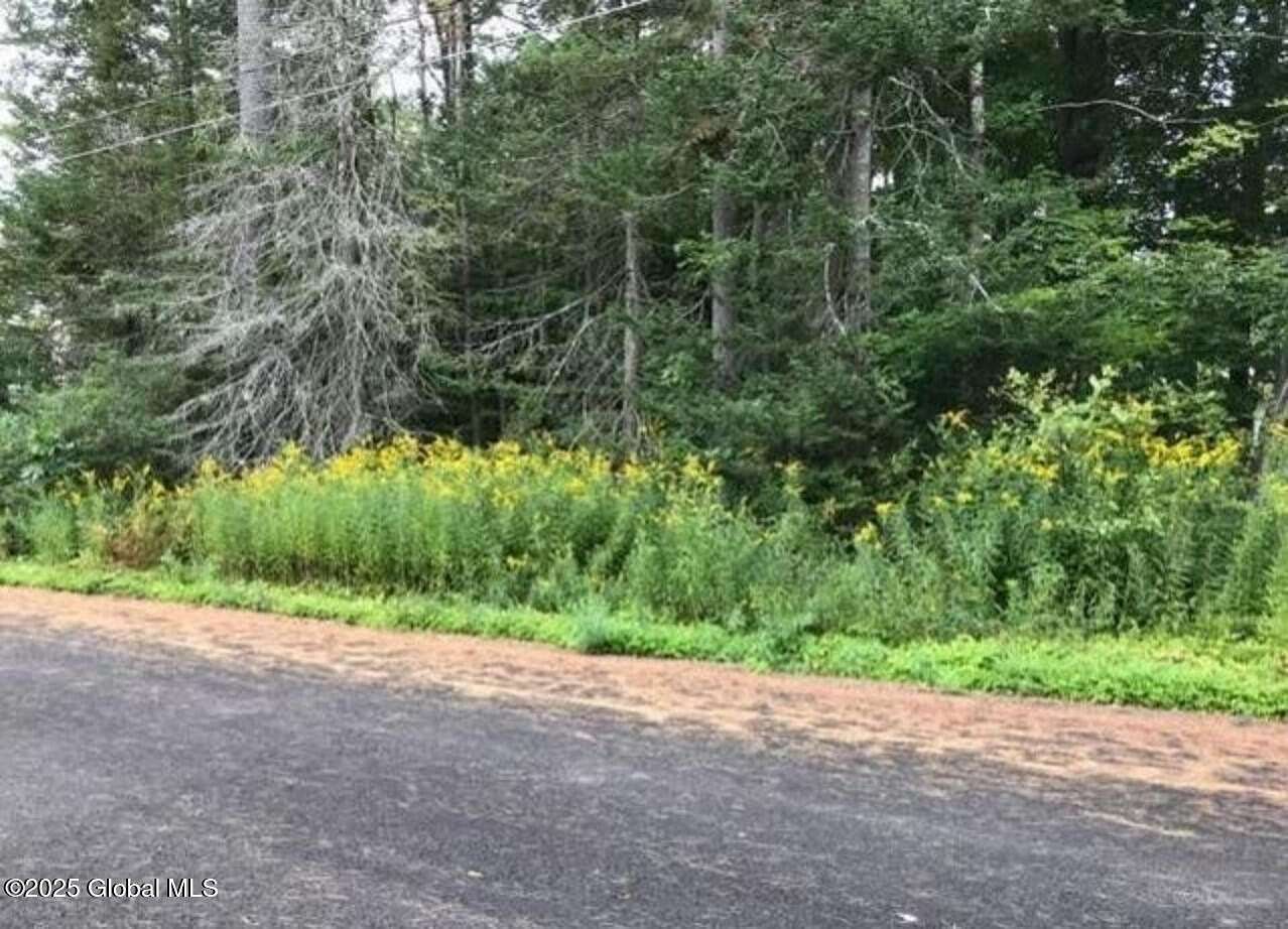 0.28 Acres of Residential Land for Sale in Caroga Town, New York