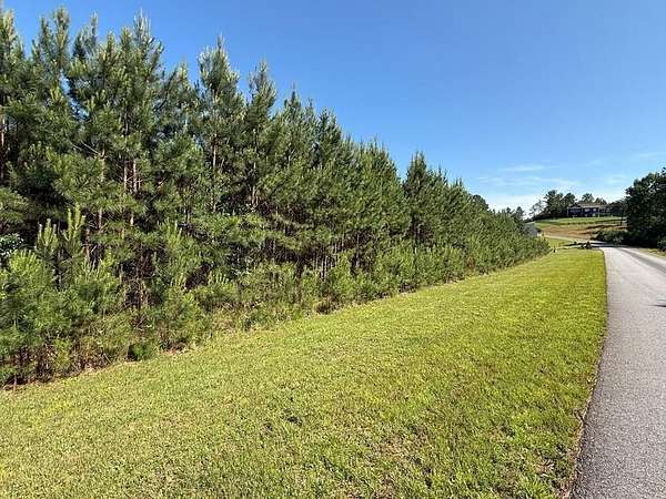 3.38 Acres of Land for Sale in Blairsville, Georgia