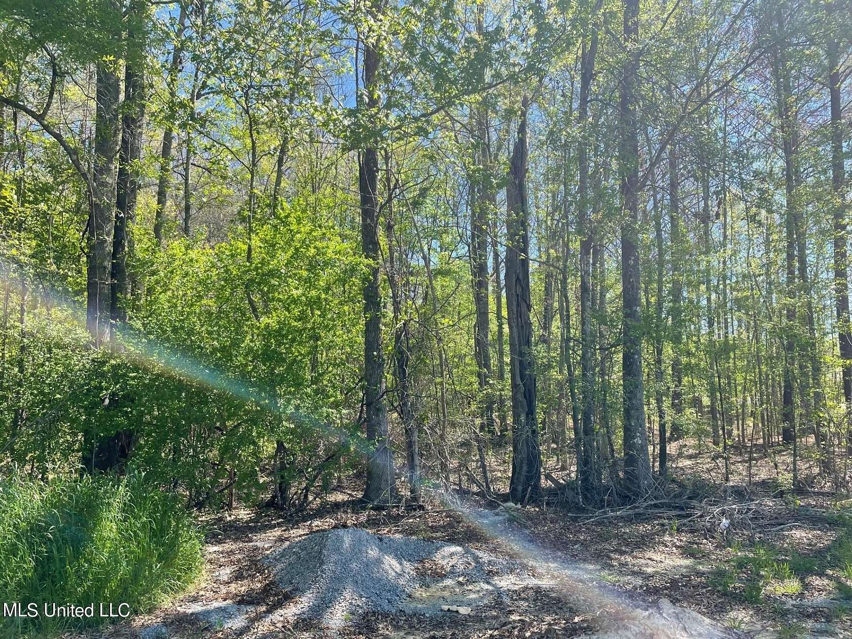 31 Acres of Land for Sale in Brandon, Mississippi