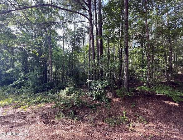 10 Acres of Land for Sale in Camden, Mississippi