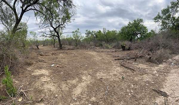 0.16 Acres of Residential Land for Sale in El Indio, Texas