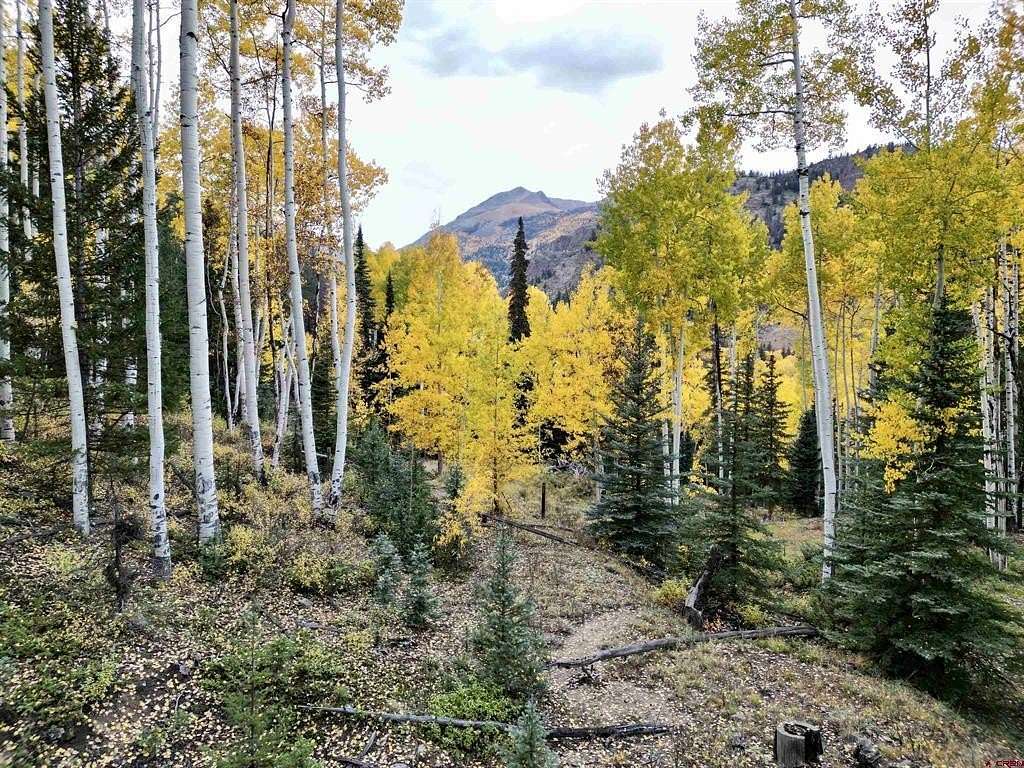 3.88 Acres of Land for Sale in Lake City, Colorado