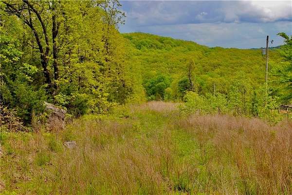 31.1 Acres of Land for Sale in Harrison, Arkansas