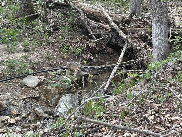 18 Acres of Recreational Land for Sale in Pyatt, Arkansas