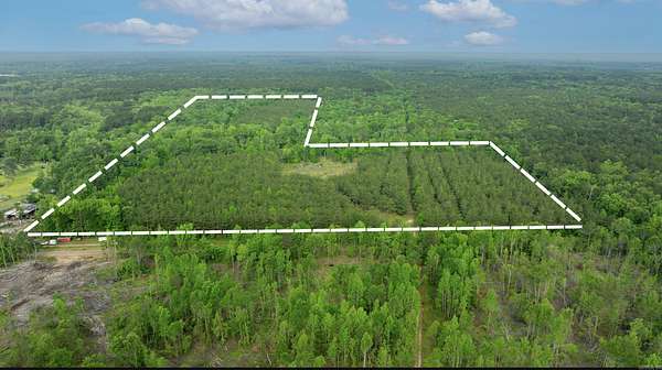 60 Acres of Land for Sale in Magnolia, Arkansas