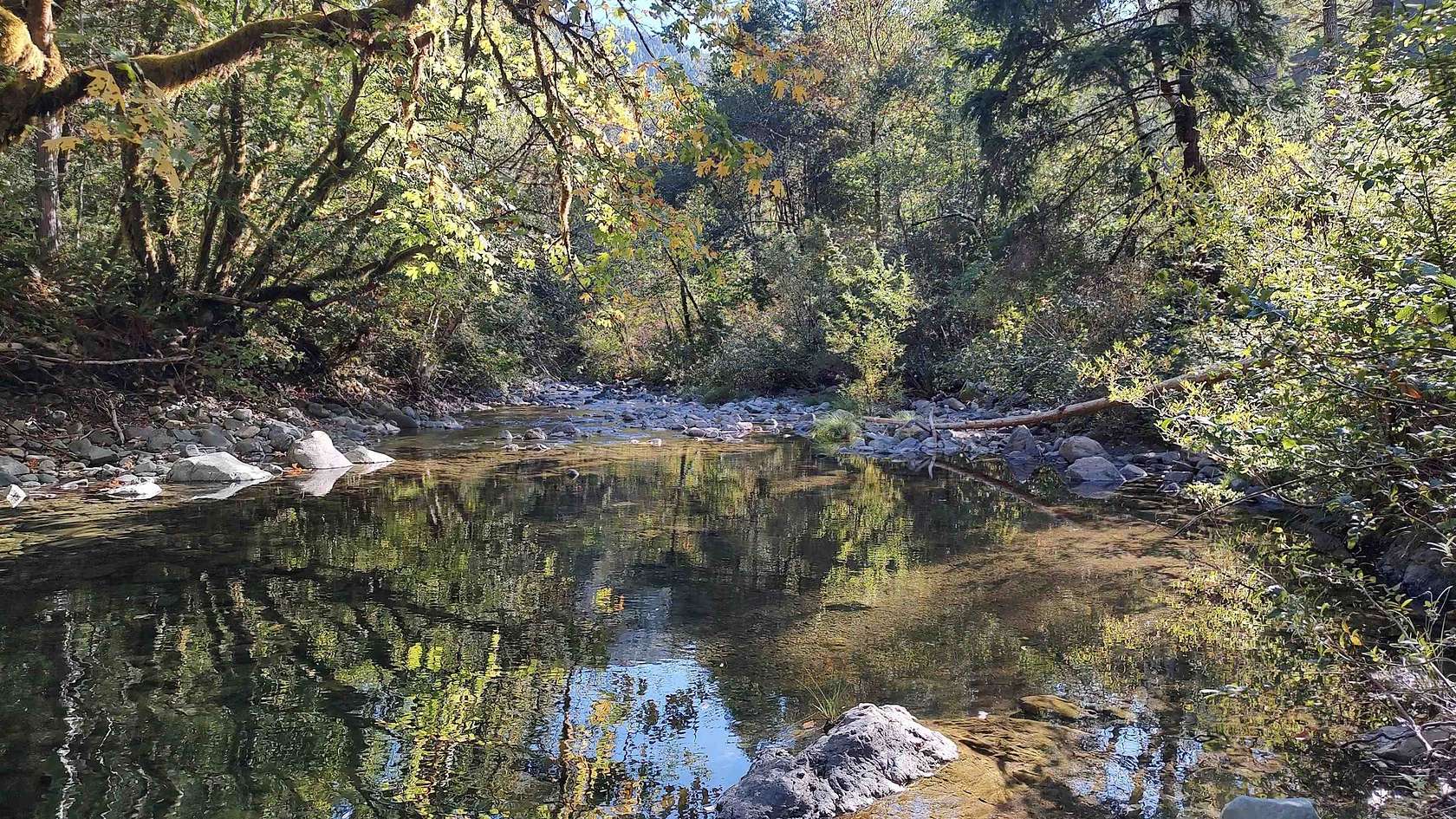 89 Acres of Land for Sale in Gasquet, California