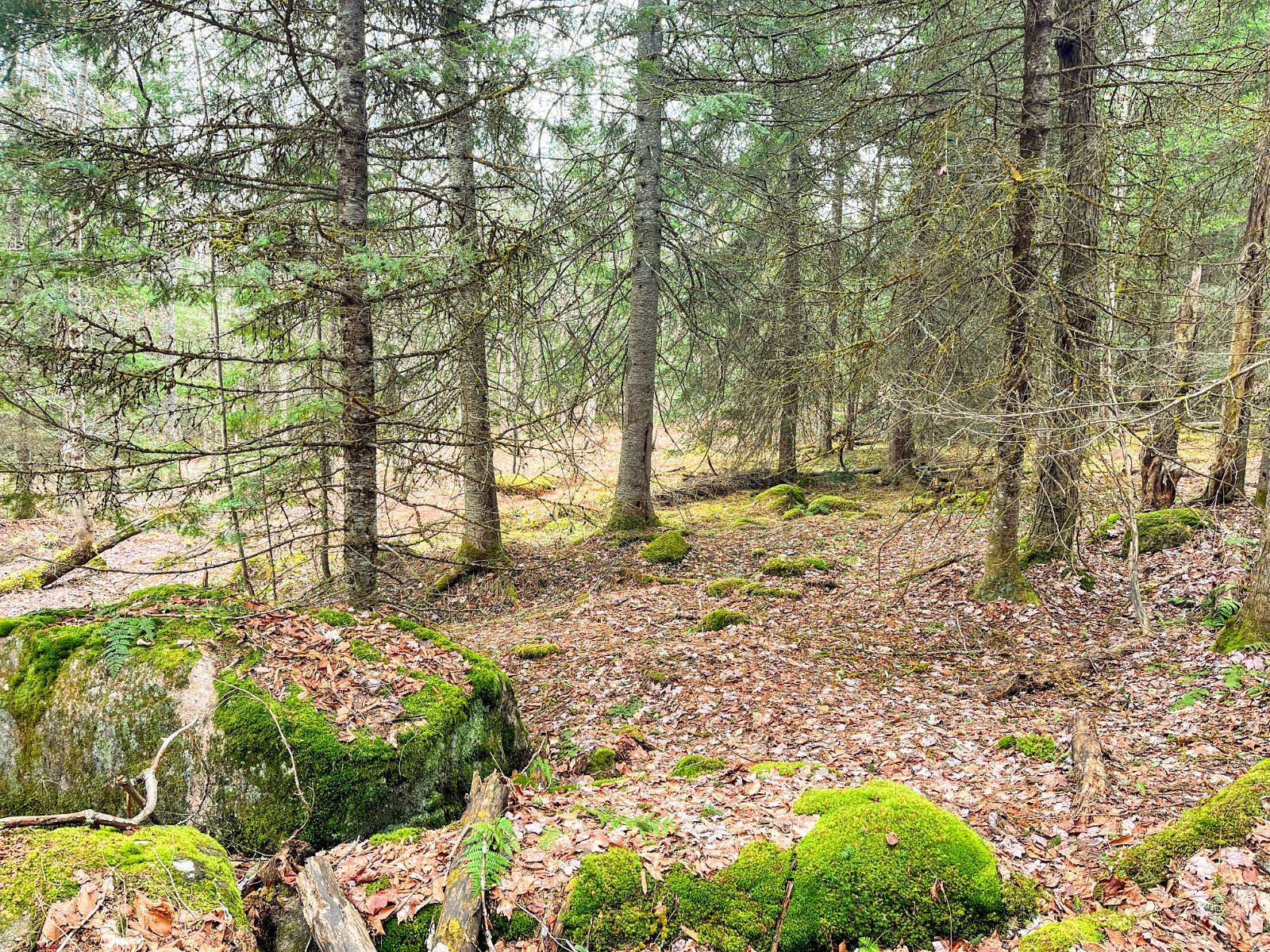20 Acres of Recreational Land for Sale in St. Regis Falls, New York