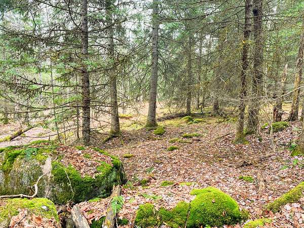 20 Acres of Recreational & Residential Land for Sale in St. Regis Falls, New York