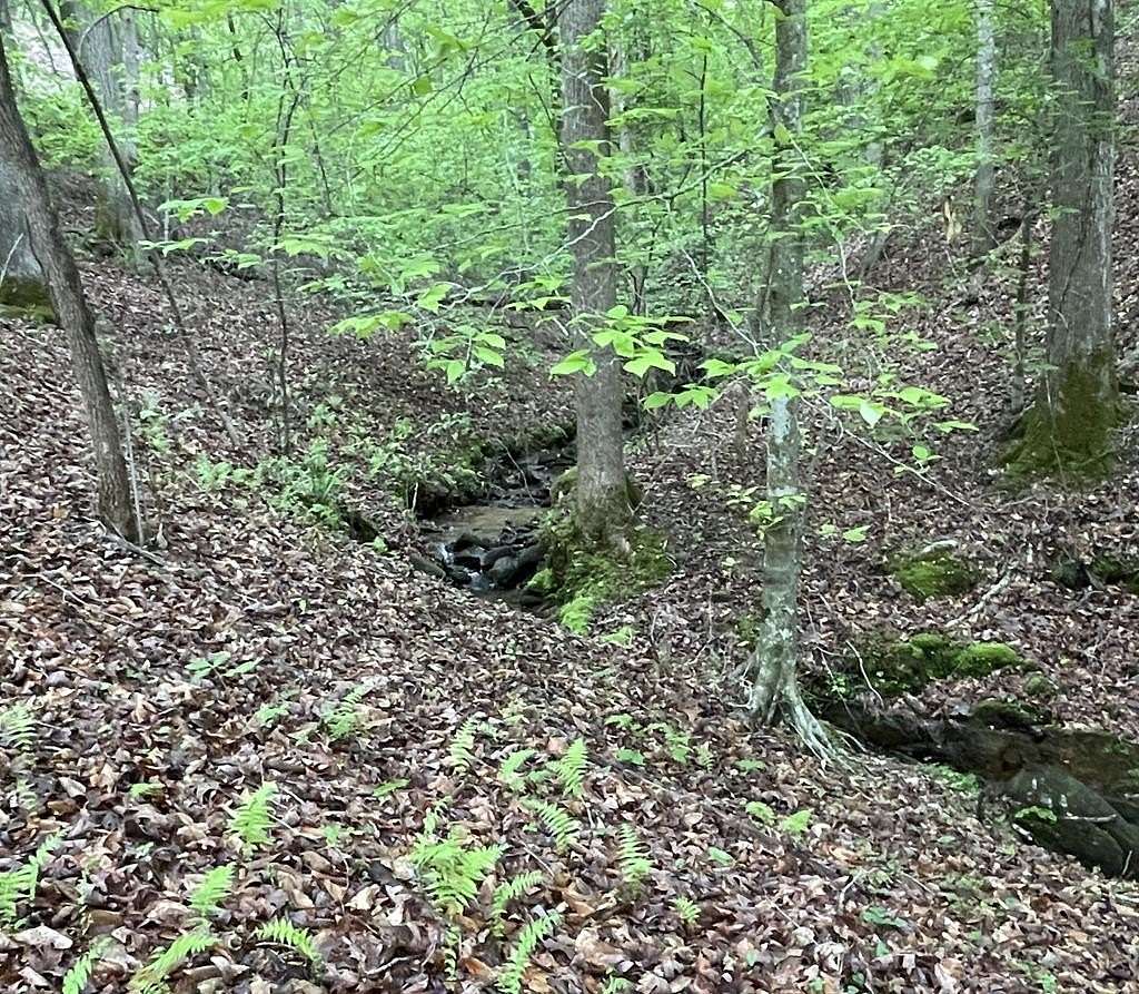 0.88 Acres of Residential Land for Sale in Ellijay, Georgia