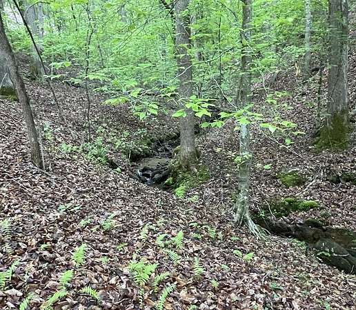 0.88 Acres of Residential Land for Sale in Ellijay, Georgia
