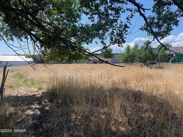 0.38 Acres of Residential Land for Sale in Eagar, Arizona