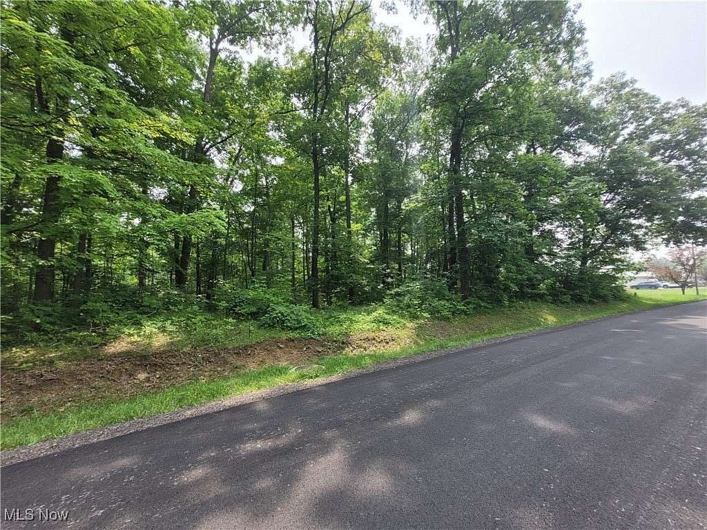 0.23 Acres of Land for Sale in West Salem, Ohio