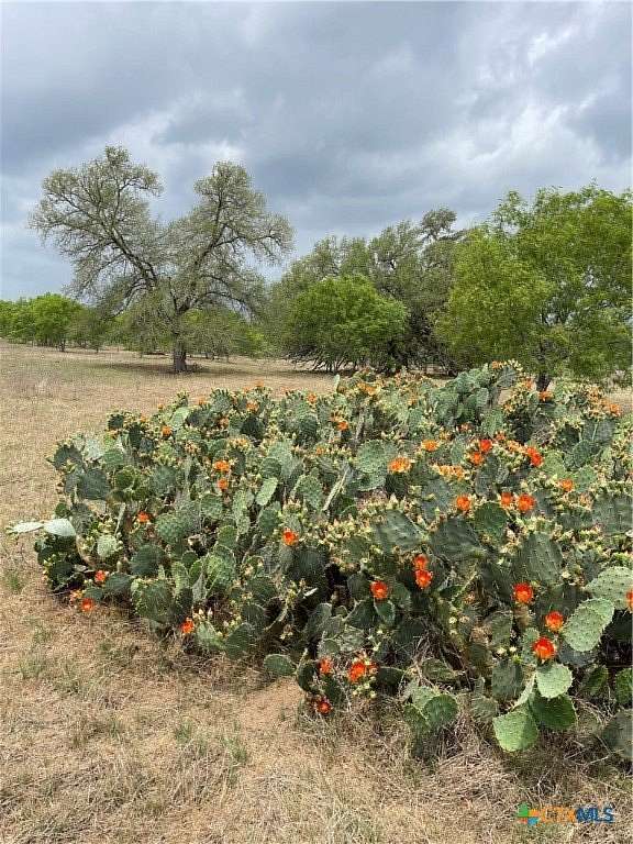10.1 Acres of Land for Sale in Seguin, Texas