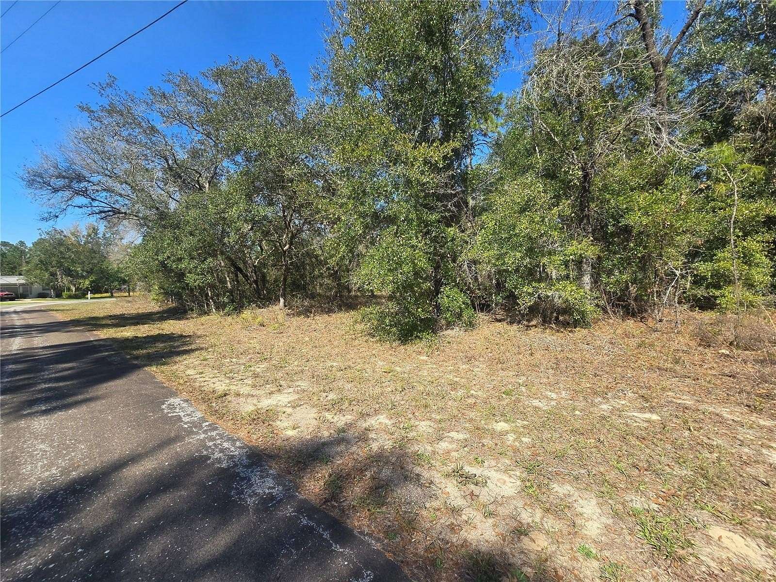 0.34 Acres of Residential Land for Sale in Citrus Springs, Florida