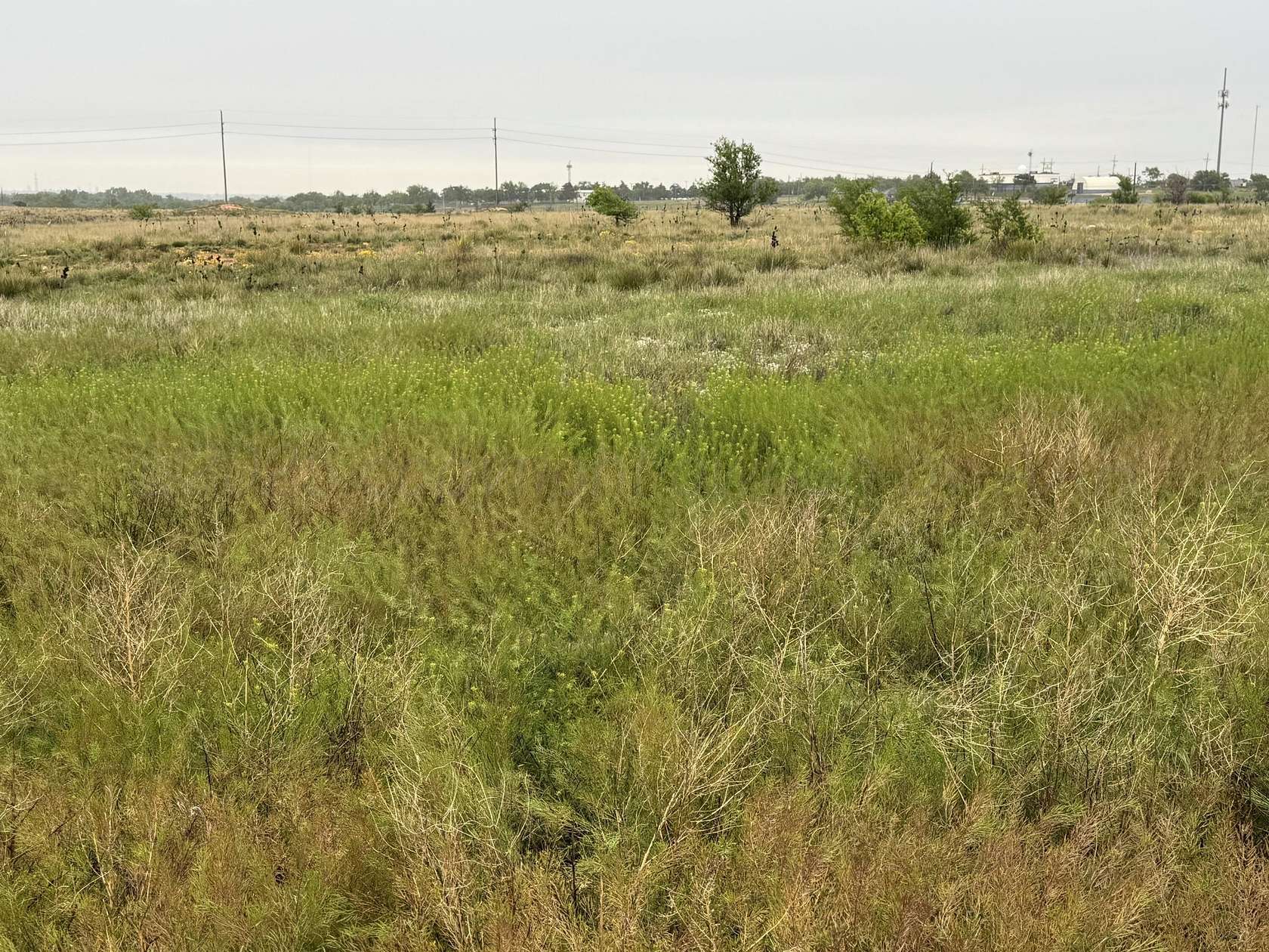 0.18 Acres of Residential Land for Sale in Amarillo, Texas