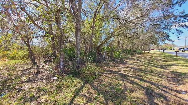 0.17 Acres of Residential Land for Sale in Kissimmee, Florida