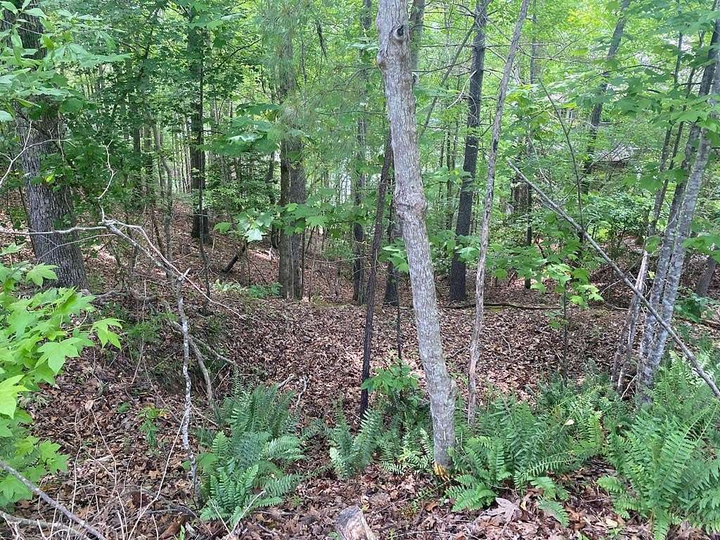 240 Acres of Recreational Land for Sale in Ware Shoals, South Carolina