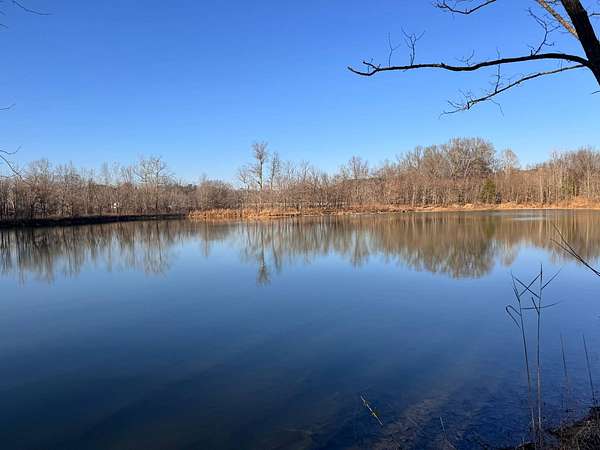 50.9 Acres of Recreational Land & Farm for Sale in Golconda, Illinois