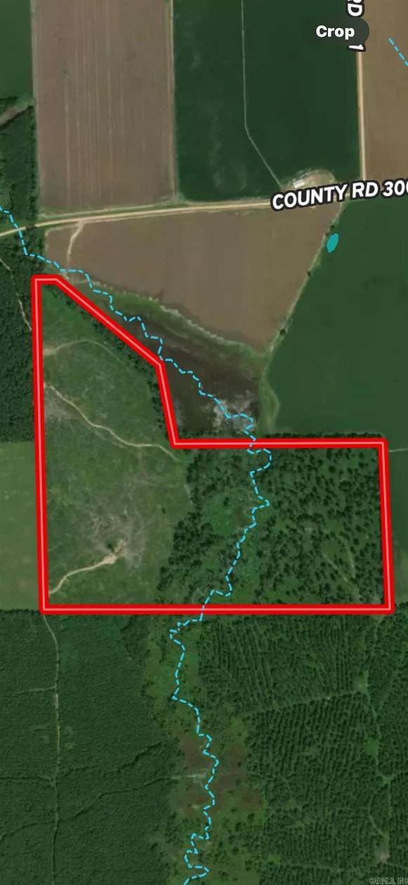 98.3 Acres of Recreational Land for Sale in Hamburg, Arkansas