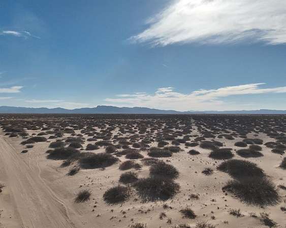 80 Acres of Land for Sale in Fort Hancock, Texas
