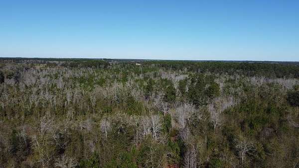 25.7 Acres of Recreational & Residential Land for Sale in Hahira, Georgia