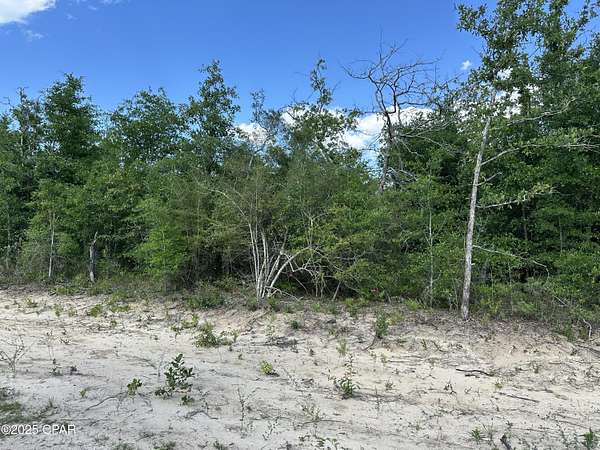 0.52 Acres of Residential Land for Sale in Altha, Florida