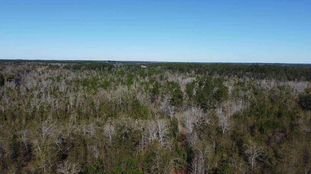 9 Acres of Residential Land for Sale in Hahira, Georgia