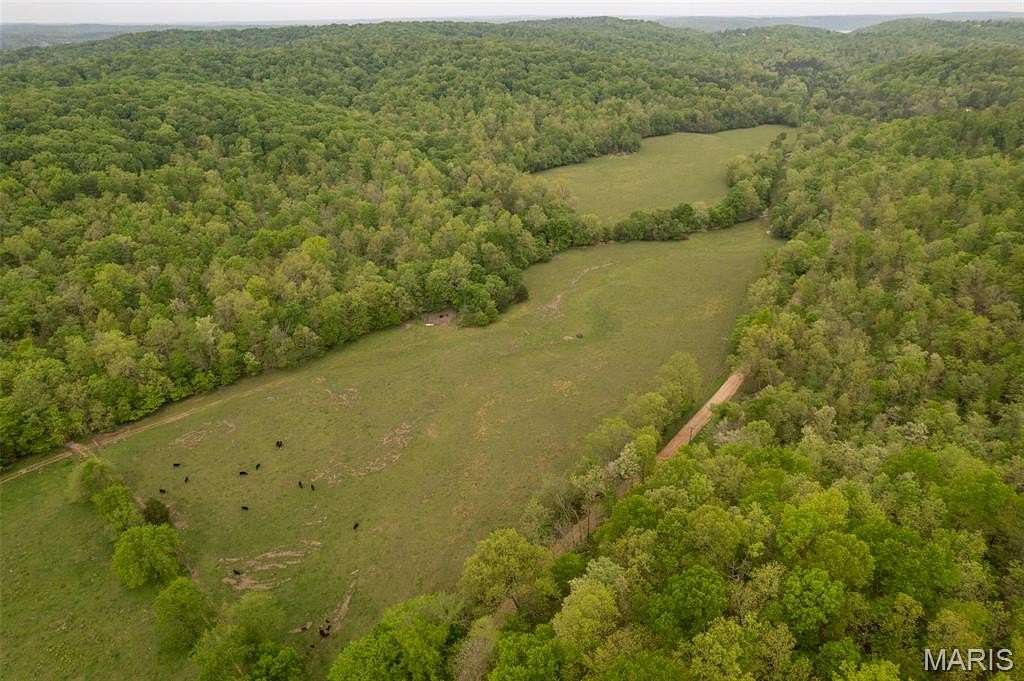 103 Acres of Recreational Land & Farm for Sale in Piedmont, Missouri