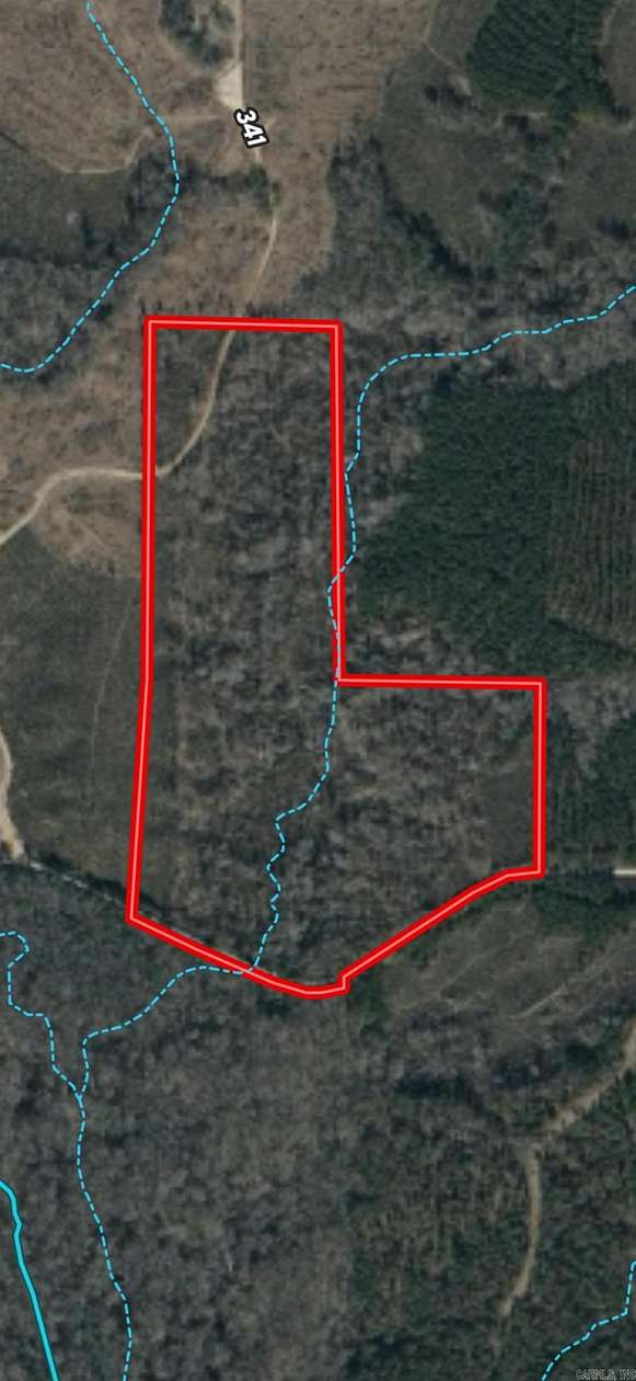 58.3 Acres of Recreational Land for Sale in Hamburg, Arkansas