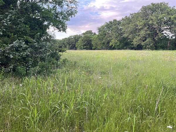 24.2 Acres of Recreational Land for Sale in Bowie, Texas