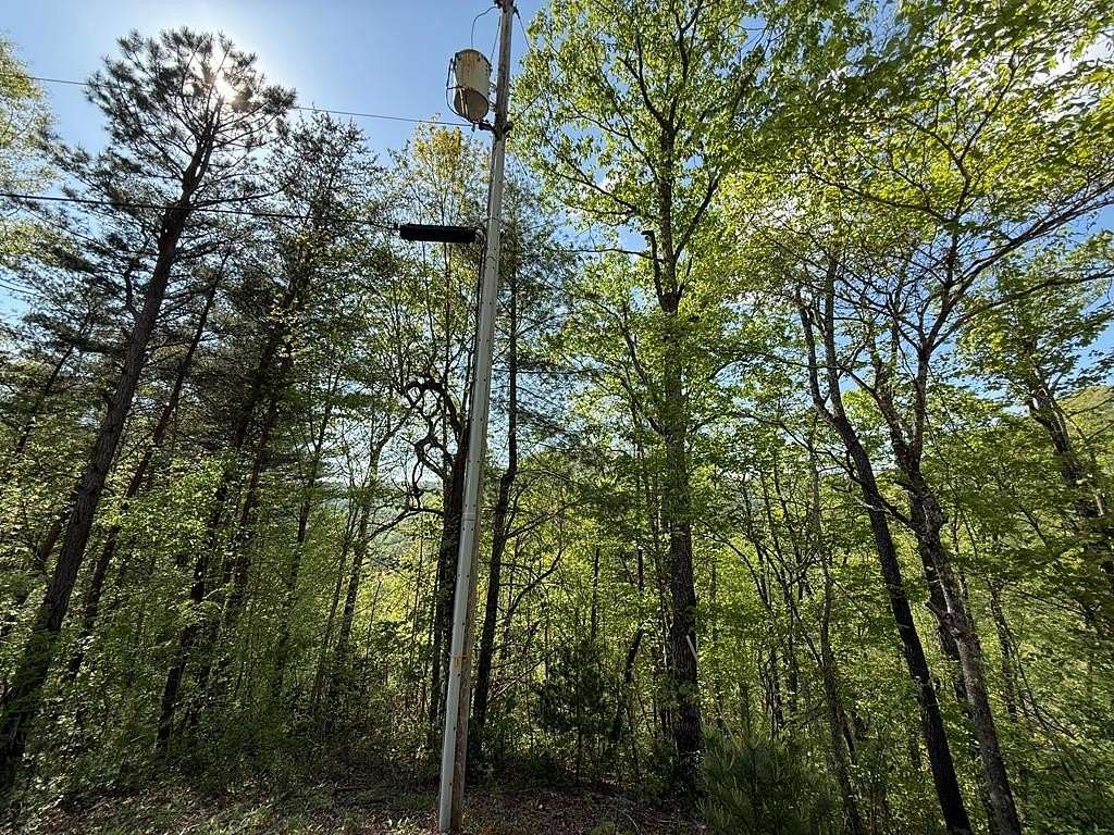 1 Acre of Residential Land for Sale in Ellijay Township, North Carolina