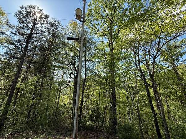 1 Acre of Residential Land for Sale in Ellijay Township, North Carolina