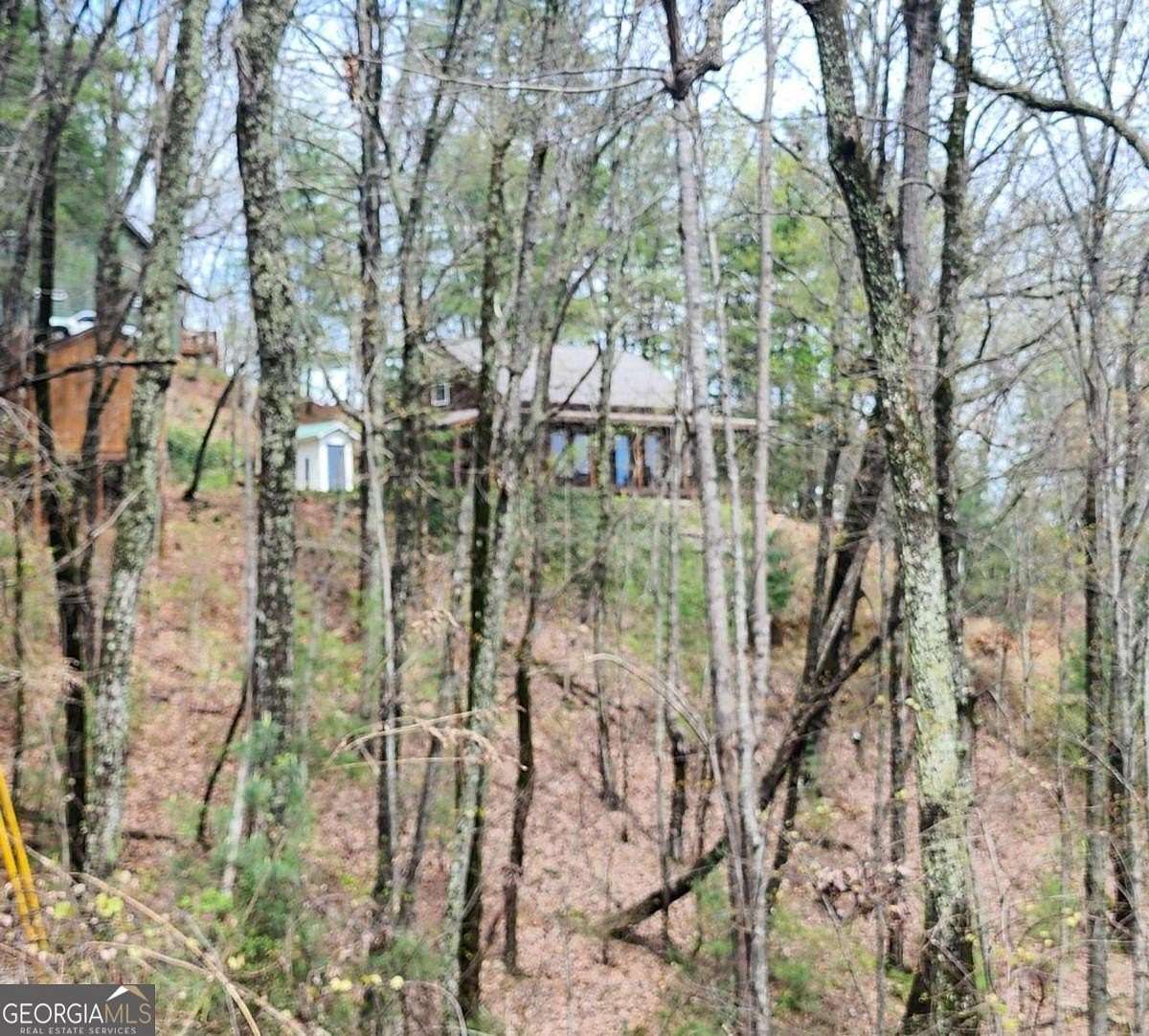 1 Acre of Residential Land for Sale in Ellijay, Georgia