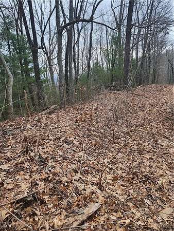1 Acre of Residential Land for Sale in Ellijay, Georgia