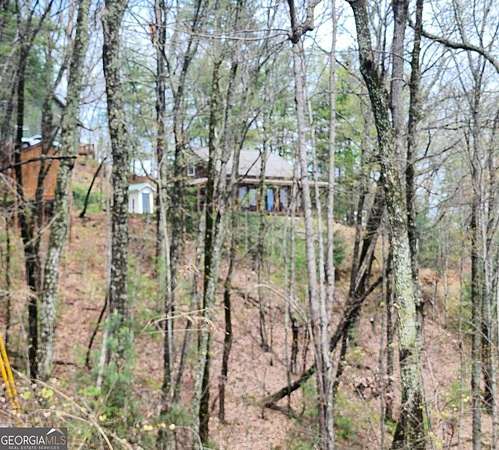 1 Acre of Residential Land for Sale in Ellijay, Georgia