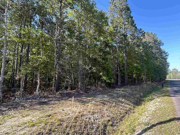 1 Acre of Residential Land for Sale in Georgetown, South Carolina