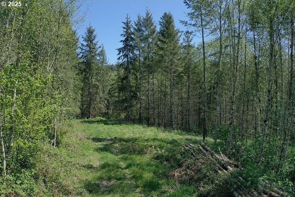 5 Acres of Residential Land for Sale in Yacolt, Washington