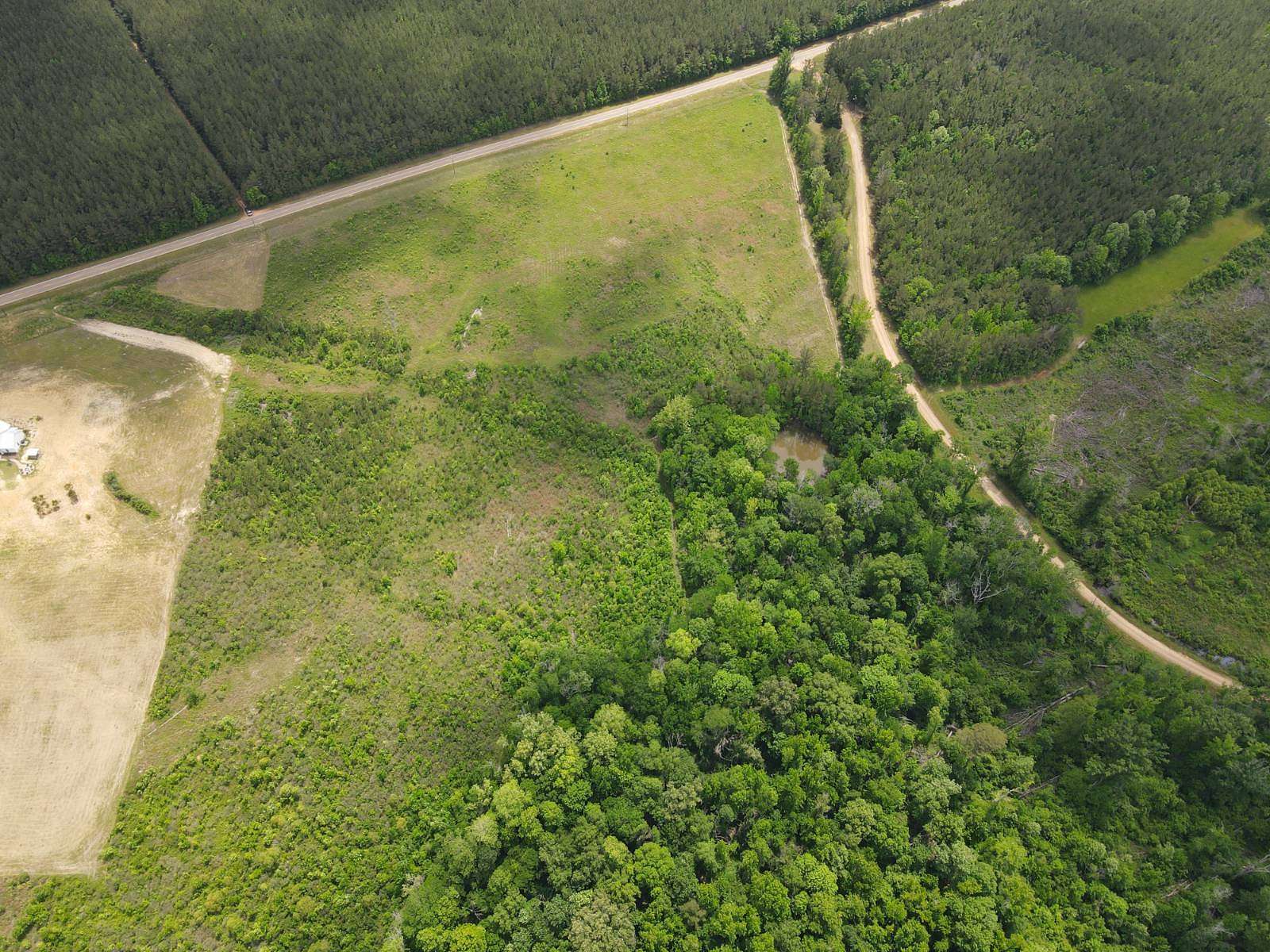 12.4 Acres of Land for Sale in Lena, Mississippi