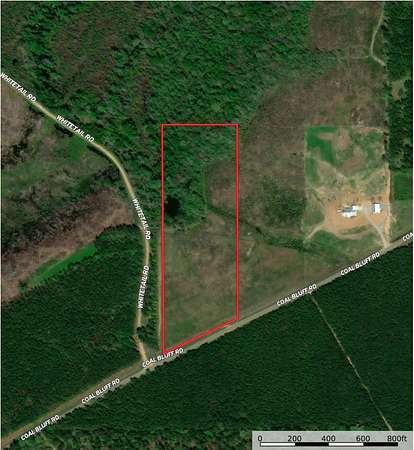12.4 Acres of Land for Sale in Lena, Mississippi