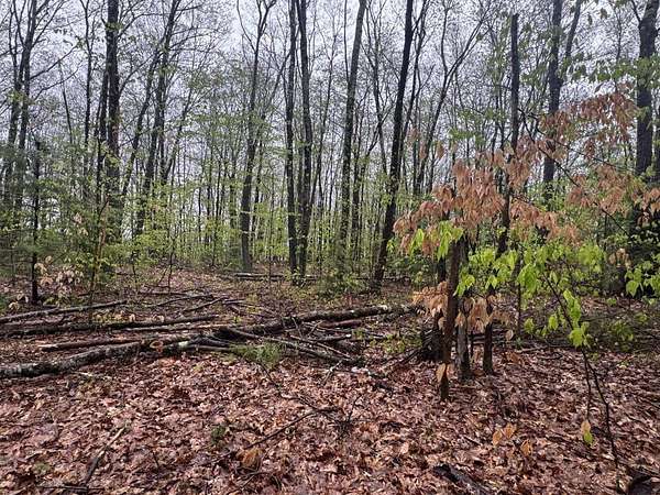 11 Acres of Land for Sale in Keene, New Hampshire