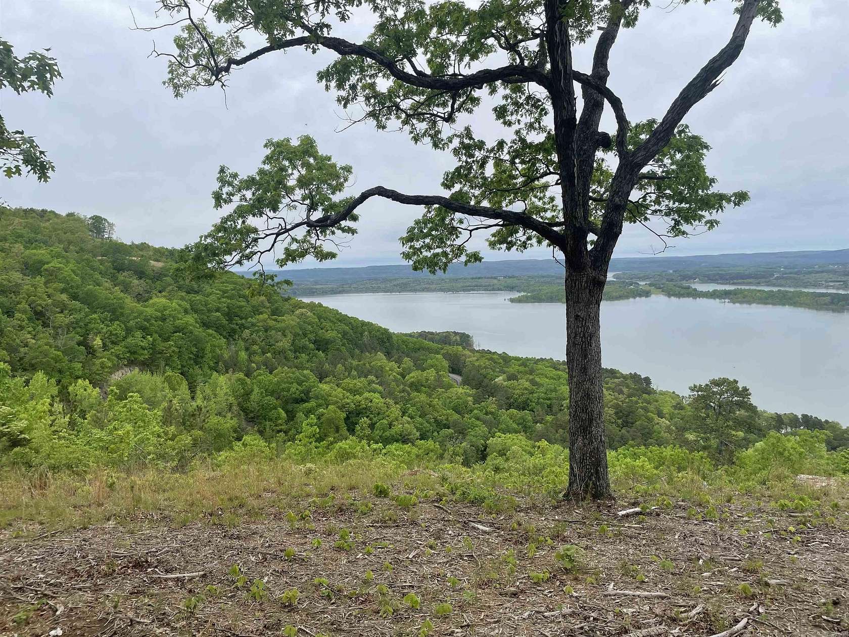 9.23 Acres of Residential Land for Sale in Quitman, Arkansas