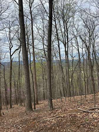 5 Acres of Residential Land for Sale in Monroe, Virginia