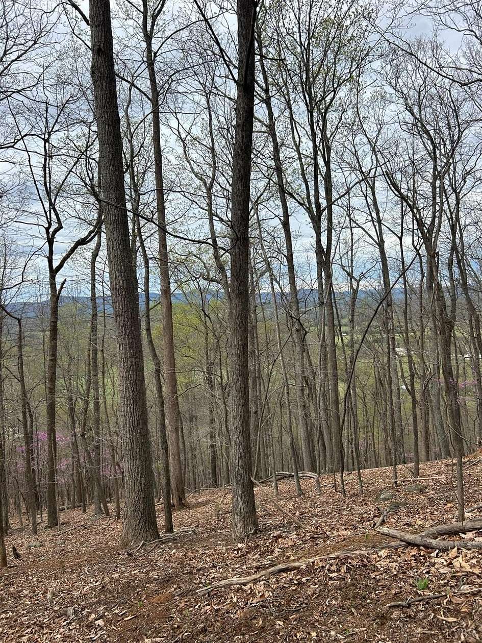 5 Acres of Residential Land for Sale in Monroe, Virginia