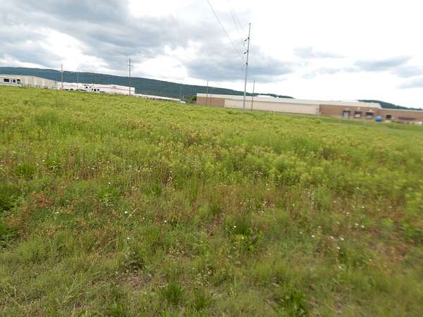 1.48 Acres of Commercial Land for Sale in Leesburg, Alabama