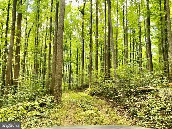 124 Acres of Recreational Land for Sale in Keswick, Virginia